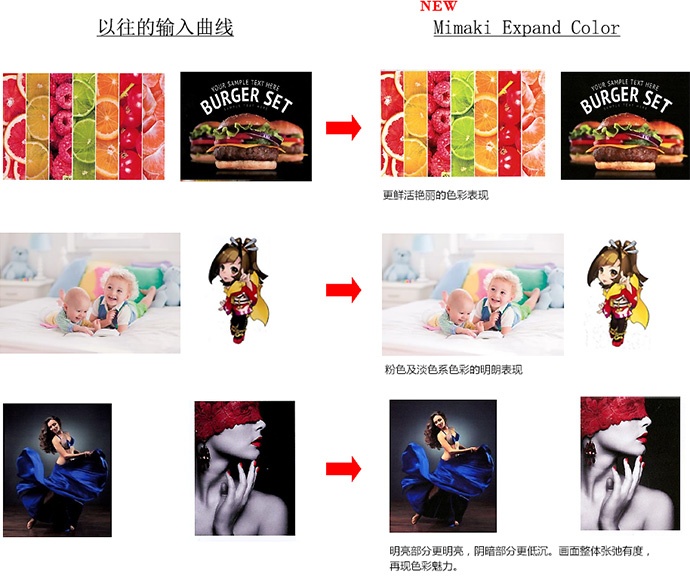 Mimaki Profile Master 3